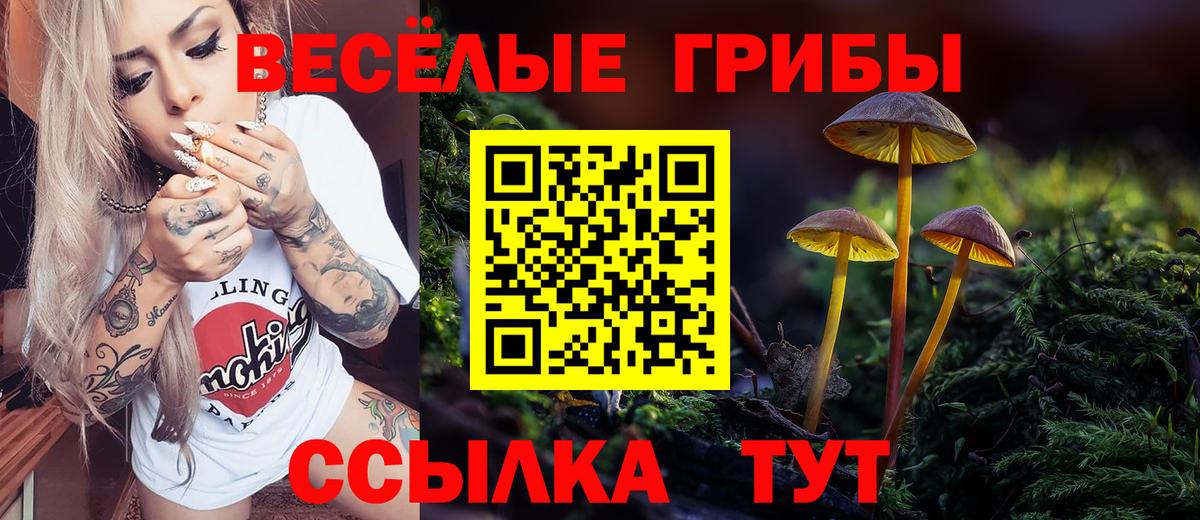 Псилоцибиновые грибы GOLDEN TEACHER  Вход с VPN  Ступино 